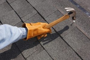 asphalt shingles roof